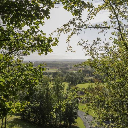 Ryedale Country Lodges - Willow Lodge Йорк Экстерьер фото